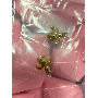Review 6