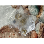 Foto recensione di H*****i 4.6 stelle, immagine 8 di 8, su Bracciale Rigido Aperto Foglia di Grano Acciaio Inossidabile