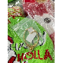4.9-star customer review photo by A*****n, image 2 of 7 for LED Light Up Knitted Christmas Beanie Hat For Adults Kids