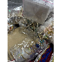 4.6-star customer review photo by K*****d, image 2 of 5 for Cute Plush Bunny Rabbit Pendant Soft Stuffed Doll Keychain