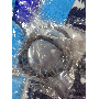 Review 5