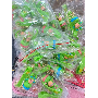 4.7-star customer review photo by V*****i, image 1 of 3 for Acrylic Resin Cylindrical Tube Beads for DIY Jewelry Making