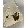 Review 5