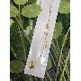 4.6-star customer review photo by K*****l, image 6 of 7 for Natural Rose Quartz Engraved Heart Stone With Gold Lettering