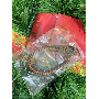4.7-star customer review photo by A*****i, image 7 of 8 for Artificial Christmas Pine Needle Garland For Holiday Decor