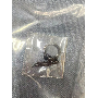Review 8