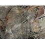 Review 4