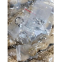 4.8-star customer review photo by C*****s, image 3 of 7 for Insulated Stainless Steel Tumbler with Baseball Pattern