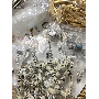 4.8-star customer review photo by J*****n, image 2 of 5 for Professional Nail Art Liner Brushes with Metal Handle
