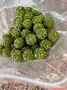 Recensione cliente con 4.7 stelle, foto di M*****., immagine 2 di 2 per Perle Disco Ball con Strass in Stile Shamballa in Argilla