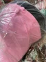 Foto de reseña de 4.4 estrellas por A*****., imagen 2 de 2 para Gorra de Béisbol Ajustable Algodón Color Sólido Visera Curva