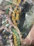 Foto recensione di B*****. 4.9 stelle, immagine 1 di 3, su Perline Sciolte Abaco in Pietra Naturale Fai da Te
